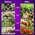 thumbnail image 6 of BN-LINK LED Grow Lights for Indoor Plants, Grow Light Full Spectrum Auto ON/Off with 3/9/12H Timer, 4 Heads Clip On Plant Grow Light with 9 Dimmable Brightness, 6 of 7