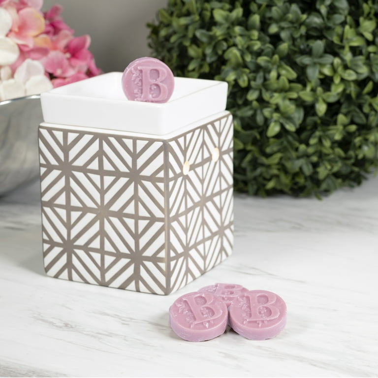 Pink Wax Warmer and Wax Melt Bar Gift Set Wax Tarts Ceramic