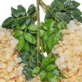 thumbnail image 4 of Artificial Fake Wisteria Vine Hanging Silk Flowers Home Wedding Party Decoration (26pcs, Champagne), 4 of 5