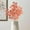 Orange, variant on Dvkptbk Natural Dried Plant Inflorescence Color Absorpt Non Manual Center Piece Vase Decoration Easy to Organize Fake Branches Home Decor