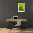 thumbnail image 3 of Millet, Karyn 17x24 White Modern Wood Framed Museum Art Print Titled - Tropical Leaves II, 3 of 4