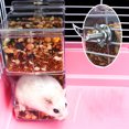 thumbnail image 3 of Pet Clear Acrylic Automatic Feeder Anti-turnover Food Dispenser Container for Hamster Hedgehog Squirrel, 3 of 8
