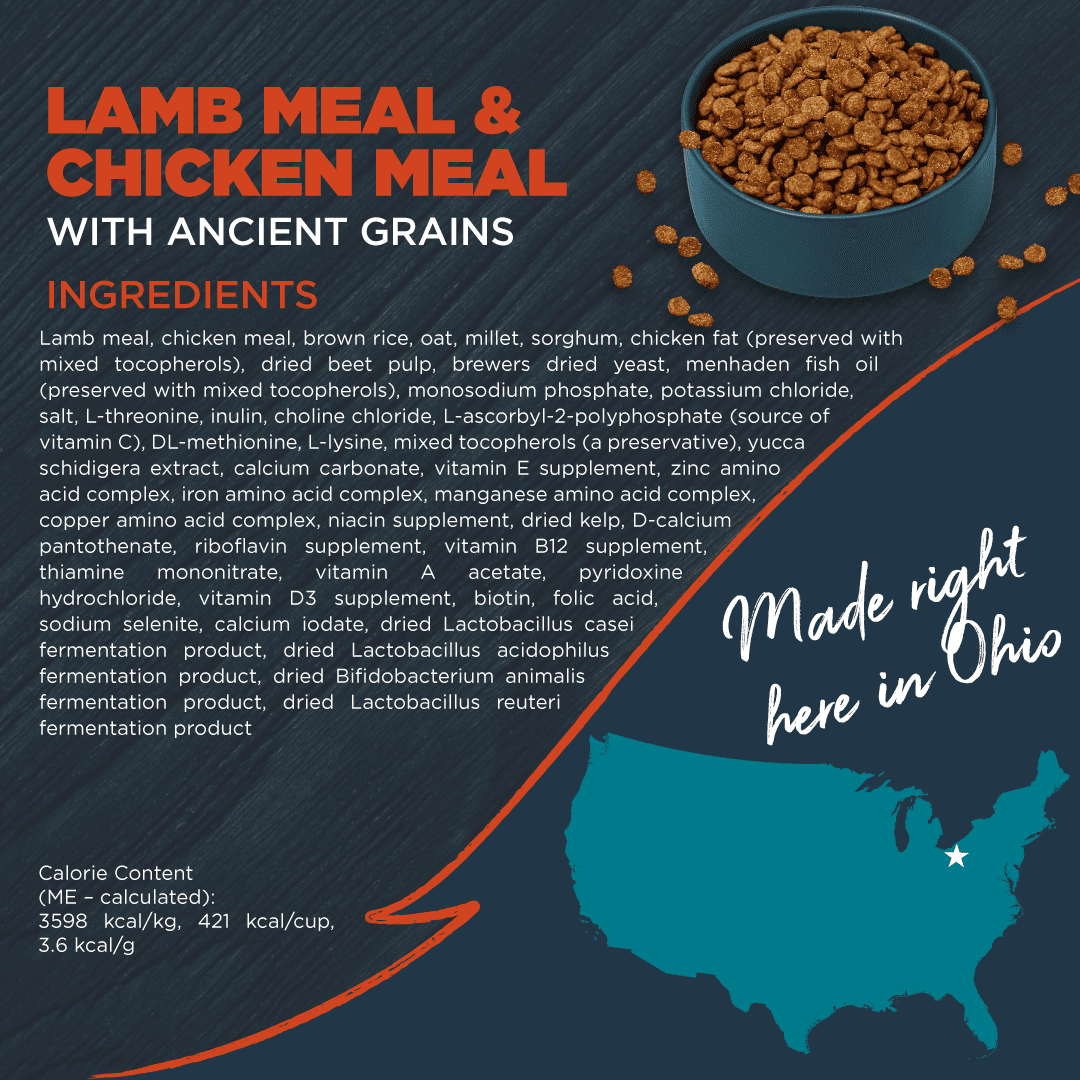 Blackwood Dry Dog Food Lamb & Chicken Meal with Ancient Grains 10 lb.