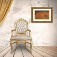 thumbnail image 3 of Archer, Ken 18x13 Gold Ornate Wood Framed with Double Matting Museum Art Print Titled - Male pyrrhuloxia, 3 of 4