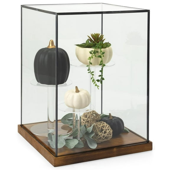 Displays2go Wood Base Countertop Display Case, Black Copper Edge – Clear (DCPIPELL)