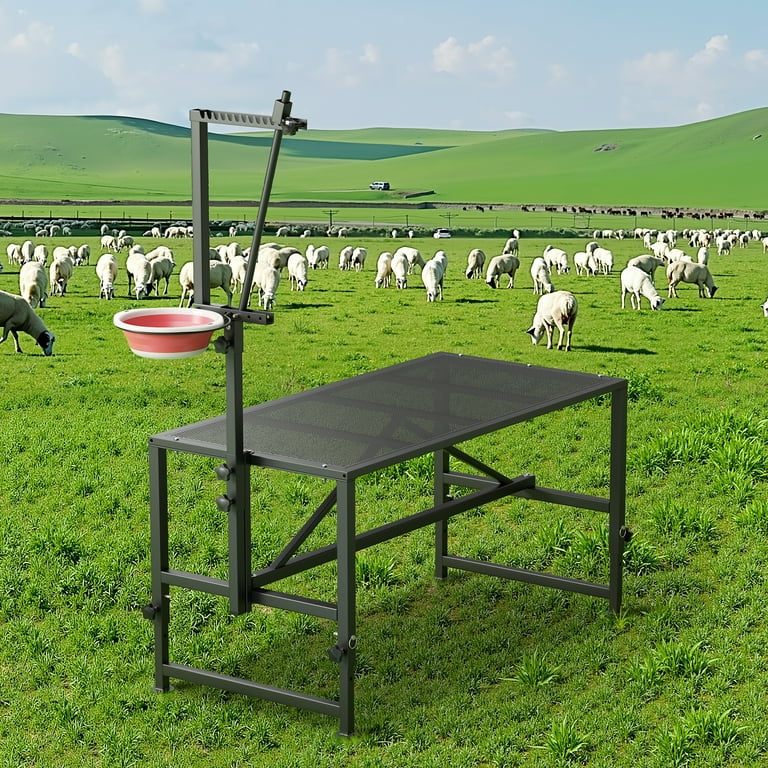 Fenbeli Goat Trimming Stand with Feed Bin, 600 lbs Capacity