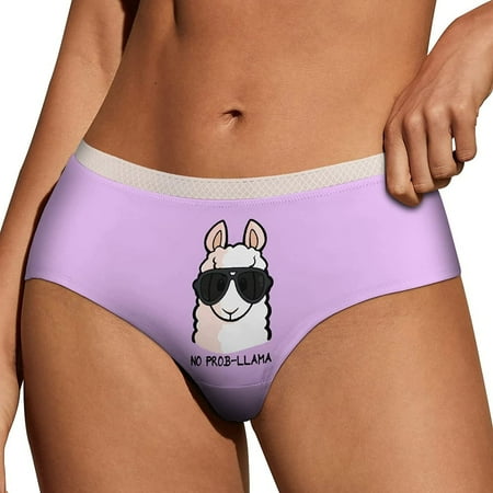 

Womens Panties Soft Lace Briefs Panty Bikini Underwear Sexy Underpants