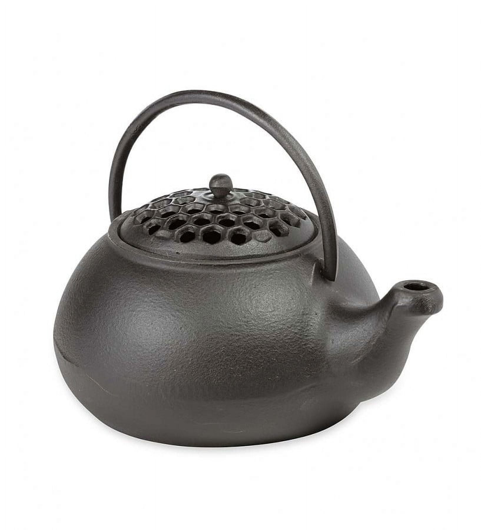 Plow & Hearth 12130-BK Cast Iron Wood Stove Kettle  