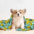 thumbnail image 4 of Naloa Lemon1 Dog Blanket, 3 Sizes Cat Blanket for Indoor Cats Large Medium Small Dog Gifts-Medium, 4 of 8