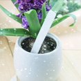 thumbnail image 4 of 1000Pzs Etiquetas de Plantas Marbete de Jardin de Guarderia de Plastico, 4 of 5