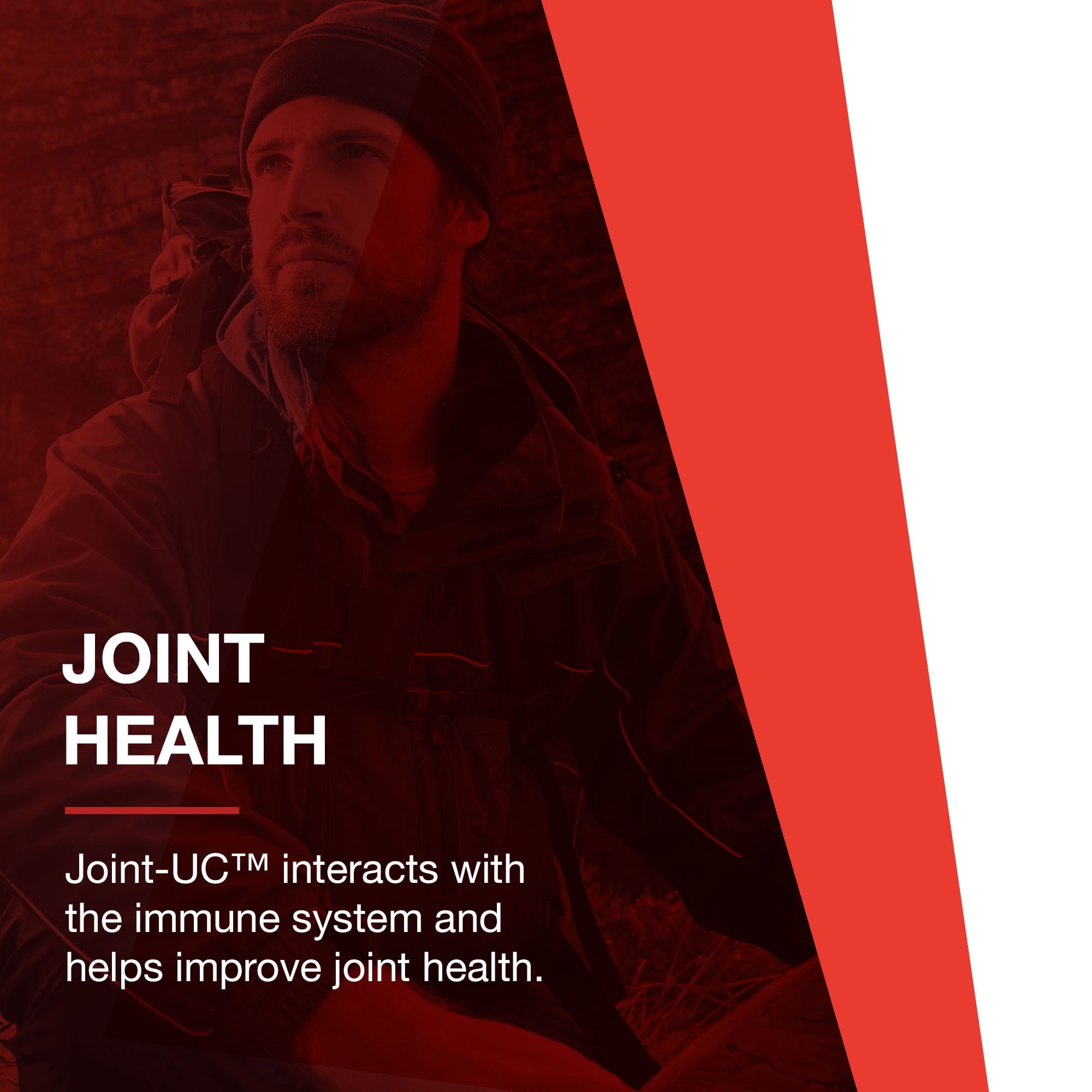 Protocol Joint-UC - Joint and Immune Support - Collagen Type 2, Seaweed Minerals - 60 Veg Caps