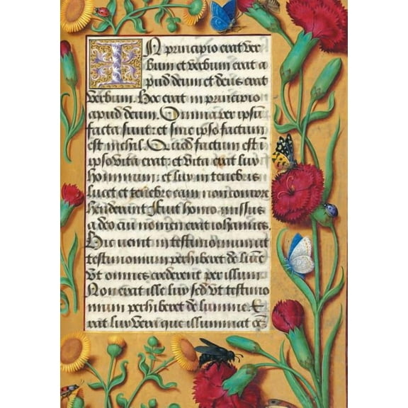 Bnf Enluminures: Carnet Ligné Heures Anne de Bretagne, Oeillets (Paperback)