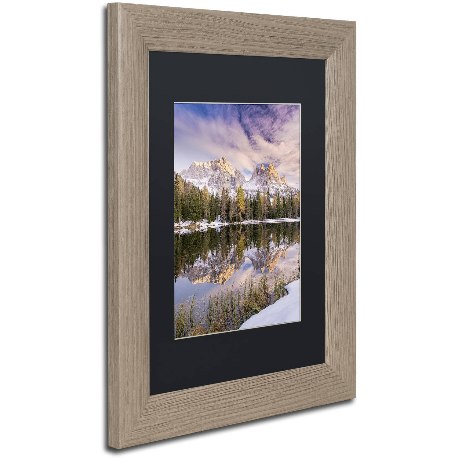 Trademark Fine Art "Grass On Shore" Canvas Art by Michael Blanchette Photography Black Matte, Birch Frame