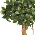 thumbnail image 3 of Nearly Natural 48" Sweet Bay Double Ball Topiary Silk Tree in Green/Black, 3 of 5