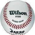 thumbnail image 3 of Pelota de béisbol Wilson para entrenamiento 1 pza, 3 of 3