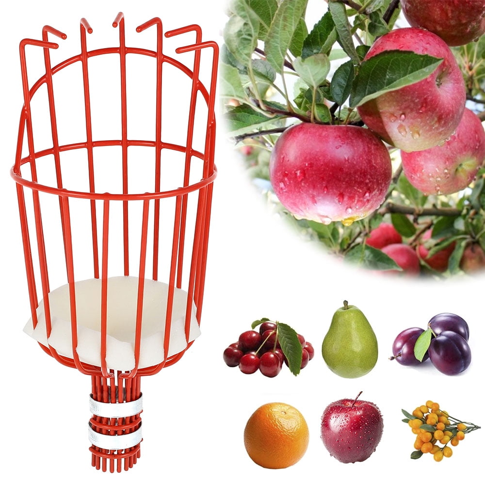 6 Fresh Fruit Picker Basket Orange Apple Plum Pear Vinyl Coated Wire Finger Pole 