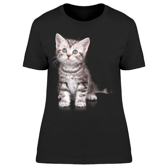American Short Hair Cat, Sits T-Shirt Women -Image by Shutterstock, Female Large