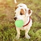 thumbnail image 5 of Pelota elástica segura para perros y mascotas, juguete de goma para entrenamiento de dientes molares, juego interactivo, 5 of 8