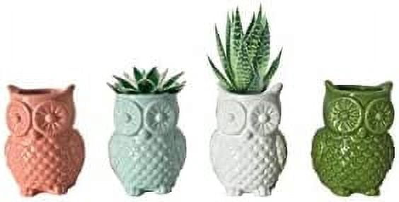 First of a Kind Stoneware Owl Shaped Vases, owl Shaped Succulent Planter, Ceramic owl Small Planter for Desk, Shelves, Living Room, Kitchen, Bedroom.