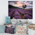 thumbnail image 2 of Lavender Field At Sunrise III 12 in x 8 in Photography Canvas Art Print, by Designart, 2 of 4