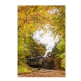 thumbnail image 2 of Trademark Fine Art 'Steam Train with Autumn Foliage' Canvas Art by PIPA Fine Art, 2 of 4
