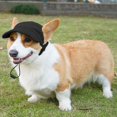thumbnail image 5 of Gorra de béisbol para perros Symphonyw, tamaño mediano, negra, con orificios ajustables para las orejas, 5 of 5