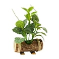thumbnail image 3 of WLPZXP Artificial Potted Green Plants Greenery with Wooden Trunk Pot Bonsai Mini Potted Style V, 3 of 7