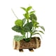 thumbnail image 3 of Plantas artificiales en macetas verdes con tronco de madera, bonsái en maceta. Estilo V, 3 of 7