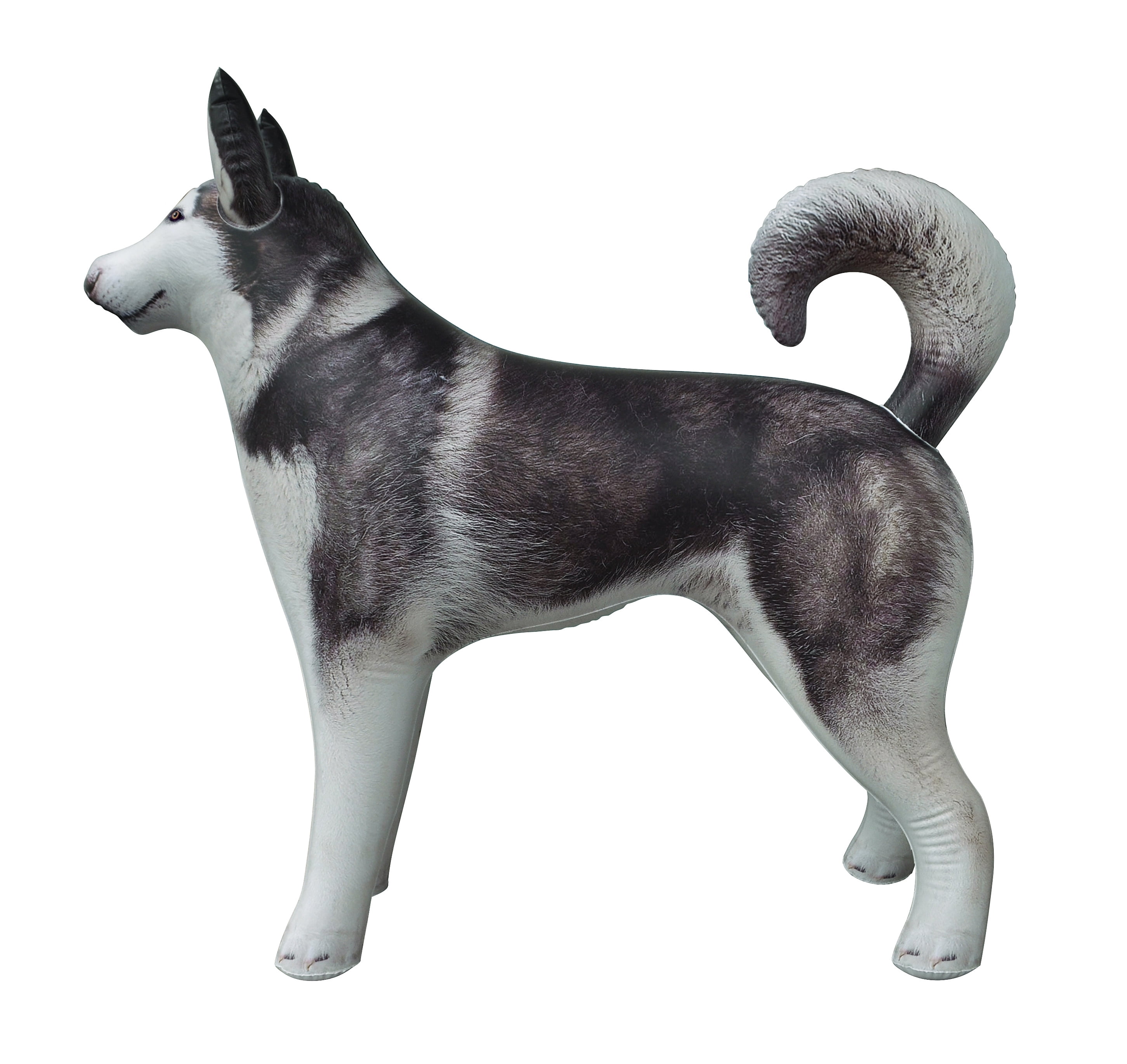 Inflatable Husky Dog Siberian Alaskan Malamute pet animal 32 inch Long for party decoration gift pool toy by Jet Creations AN-HUSKY