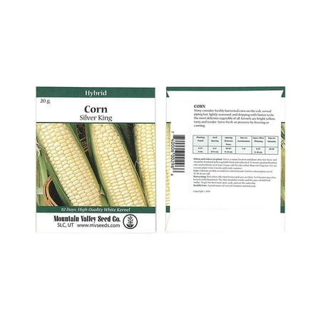 Silver King Hybrid Corn Garden Seeds - 20 Gram Packet - Non-GMO Vegetable Gardening Seeds - White Sweet Corn (SE), Corn Seeds (se) - Silver King.., By Mountain Valley Seed Company Ship from