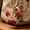 Red, variant on Keychain Pendant Sparkling Rhinestones Inlaid Crab Design Key Holder with Lobster Clasp Lightweight Car Bag Accessory