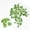 G, variant on Clearance Under $1 Boovnll Hanging Plant, Artificial Lifelike Ivy Leaves, No Fade, Uv Resistant, Fake Hanging Plants for Indoor/ Outdoor, Wall, Garden,Wedding, Party, Diy Tables Decor, Fake Plants