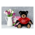 thumbnail image 5 of DolliBu I LOVE YOU Black Bear with Red Plaid Hoodie Plush- Cute Stuffed Animal with Red Shirt For Valentine, Anniversary, Romantic Date, Boyfriend, Girlfriend Gift - 10 Inches, 5 of 6