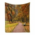 thumbnail image 1 of Fall Soft Flannel Fleece Blanket, Idyllic Rural Landscape Tranquility in the Park Pathway Woodland Peaceful Environment, Cozy Plush for Indoor and Outdoor Use, 60" x 80", Multicolor, by Ambesonne, 1 of 6