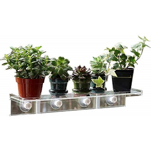 LaBrinx Designs Suction Cup Shelf - Live Plants, Windows, and Bathrooms ...