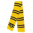 thumbnail image 1 of Disguise DG108169 Adult Harry Potter Hufflepuff Scarf, 1 of 3