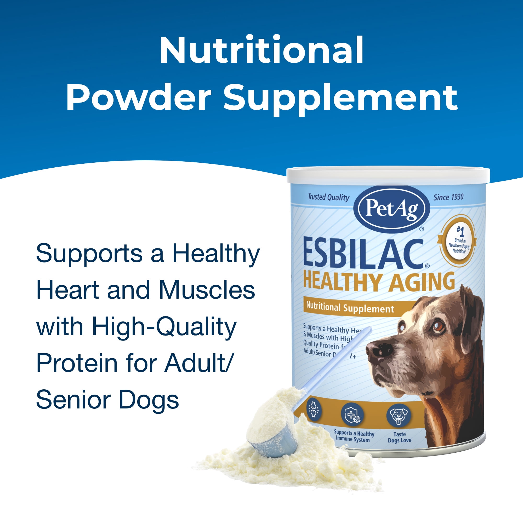 (2 pack) PetAg Esbilac Healthy Aging - 14 oz