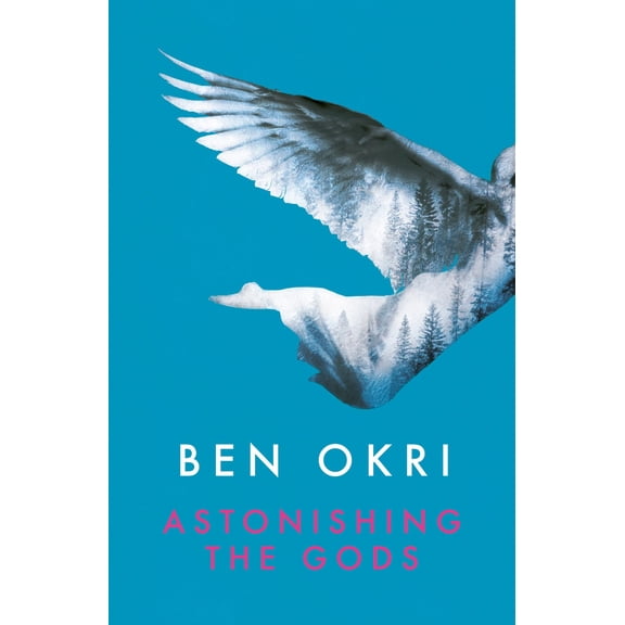 Astonishing The Gods - Okri, Ben