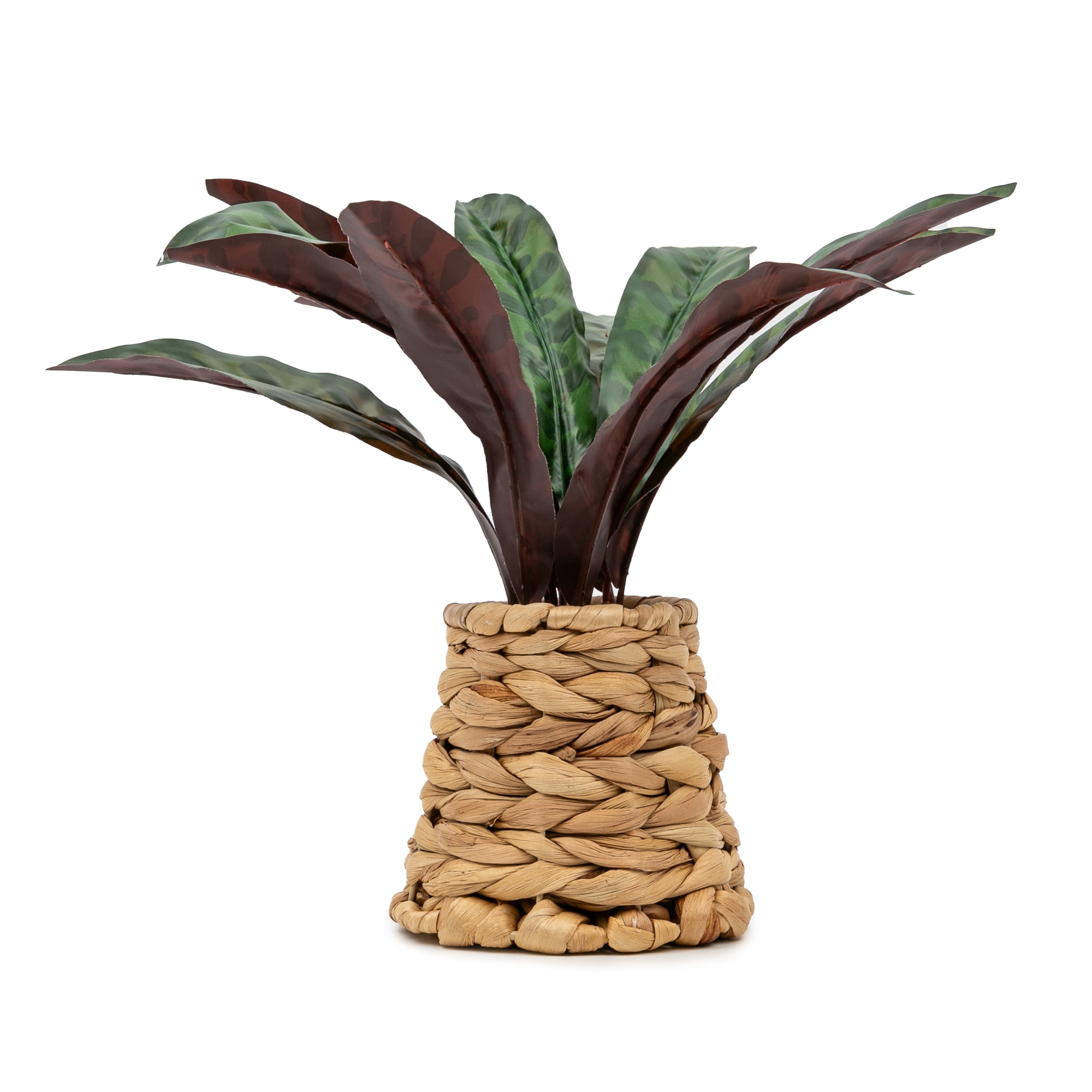 Better Homes & Gardens Artificial Rattlesnake Plant in Rattan Vase, 13"