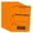 Orange, variant on Parking Permit Hang Tags, 500 Pack, Temporary Parking Passes, Bulk Pack, Custom Passes Numbered 1-500, 3.15" x 4.75" Placards for Rearview Mirror by Better Office Products (Orange)