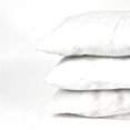 thumbnail image 1 of 400 g White Pillow Insert, 1 of 1