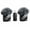 3-in-1 Dual Microphone, variant on Mic Mini (2 TX + 1 RX) Wireless Lavalier Microphone for iPhone 17/16/15/14/13/12-8/S26 Ultra/Galaxy A series/Googple Pixel 10, iPad, Android, Camera, mini Noise Reduction Recording Mic 2.4G Ultra-Low