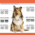 thumbnail image 3 of 3F 4F 5F 7F Professional Pet Clipper Blade Replacement A5 Blade Fit Most Andis AG AG2 AGCC AGC2 MBG Series Animal Clippers ShopWise Round, 3 of 19