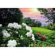 thumbnail image 1 of Diamond Painting (DE1304) 5D Square diy Mountain Wall Bordado (YF044) 50x70cm Hugtrwg Para estrenar, 1 of 1