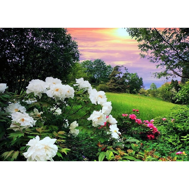 Diamond Painting (DE1304) 5D Square diy Mountain Wall Bordado (YF044) 50x70cm Hugtrwg Para estrenar
