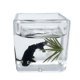 thumbnail image 3 of 1/12 Casa de Muñecas DIY Mini Modelo Escena en Miniatura Modelo a Mano Simulación Koi Goldfish Bowl para Sala de Estar Comedor Gabinete de Escritorio negro Sunnimix Cuenco de peces de colores en miniatura, 3 of 8
