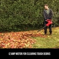 thumbnail image 2 of Corded (3 Prong) Leaf Blower, Vacuum & Mulcher, 450 cfm, 260 mph, 55 dB, 2 of 4