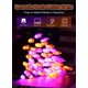 thumbnail image 4 of Guirnalda de luces para decoración de Halloween, 100 LED, 12 m, color morado y naranja, 4 of 8