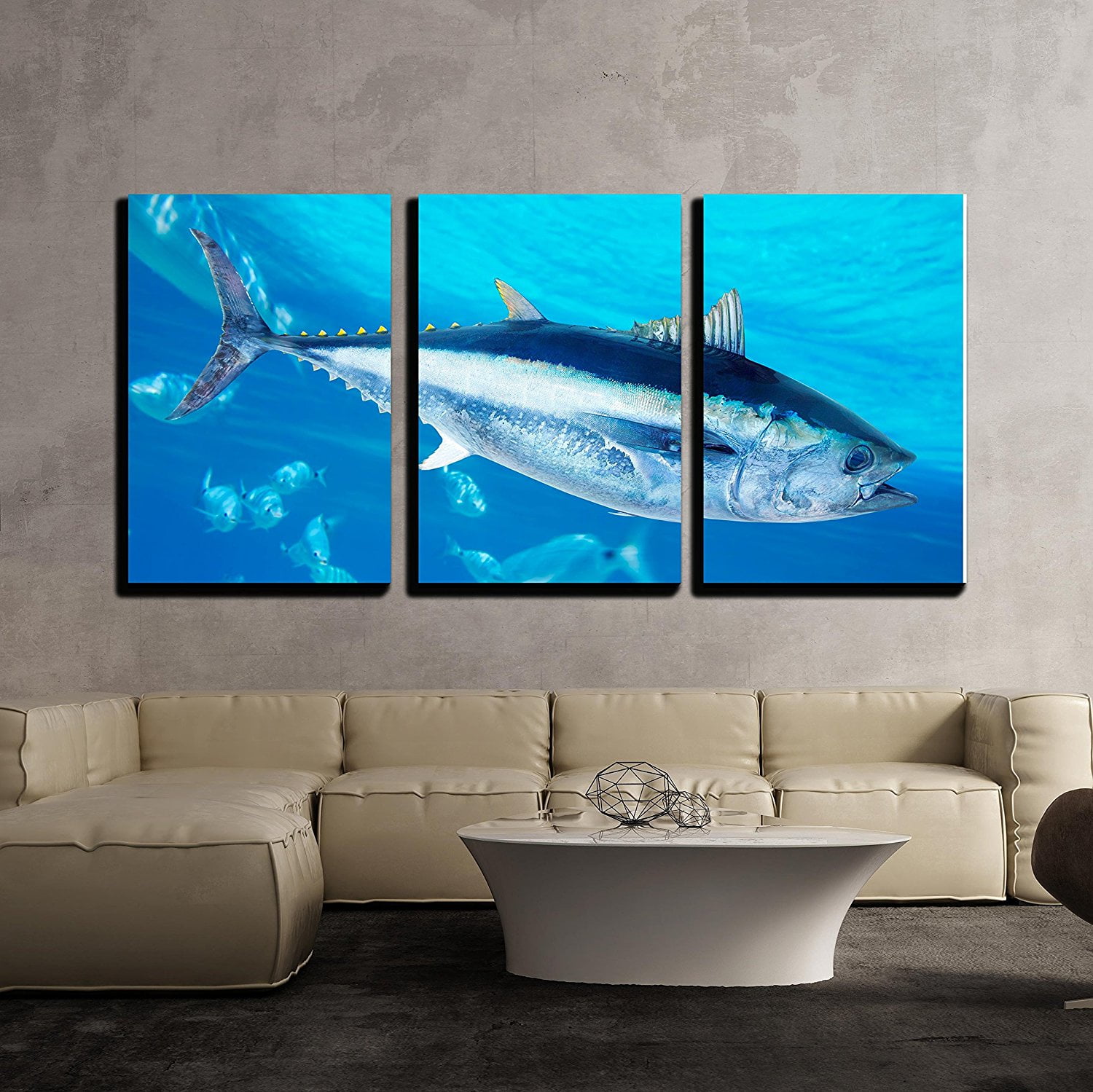 Wall26 3 Piece Canvas Wall Art Bluefin Tuna Thunnus Thynnus