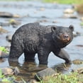 thumbnail image 1 of BLACK BEAR WALKING, 1 of 5